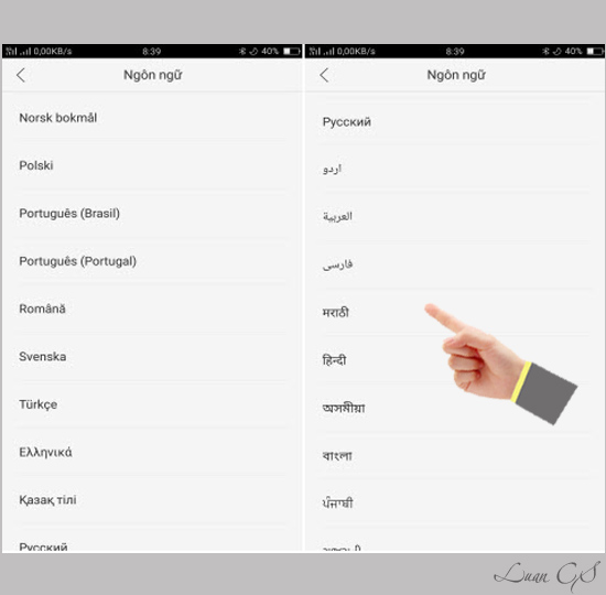 Ngôn ngữ tiếp theo